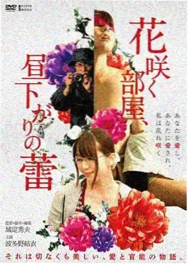 消失的她